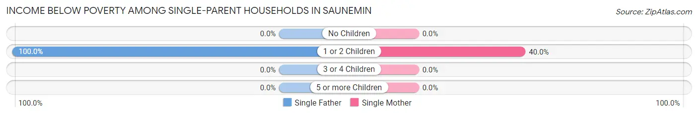 Income Below Poverty Among Single-Parent Households in Saunemin