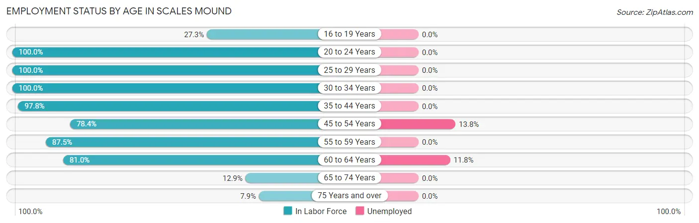 Employment Status by Age in Scales Mound