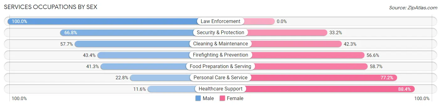 Services Occupations by Sex in Schaumburg