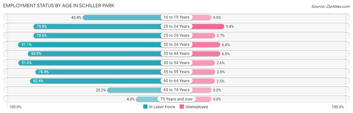 Employment Status by Age in Schiller Park