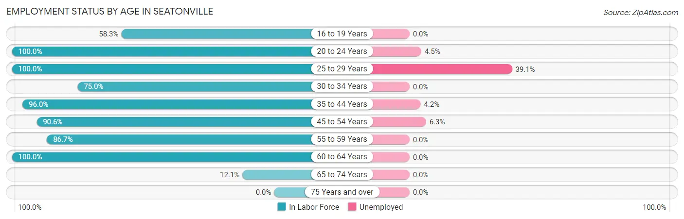 Employment Status by Age in Seatonville