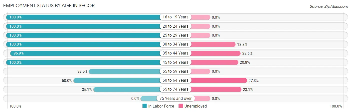 Employment Status by Age in Secor