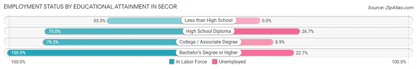 Employment Status by Educational Attainment in Secor