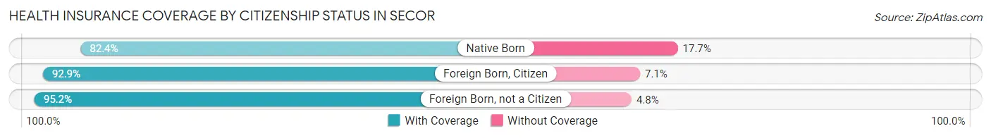 Health Insurance Coverage by Citizenship Status in Secor