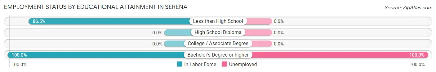Employment Status by Educational Attainment in Serena