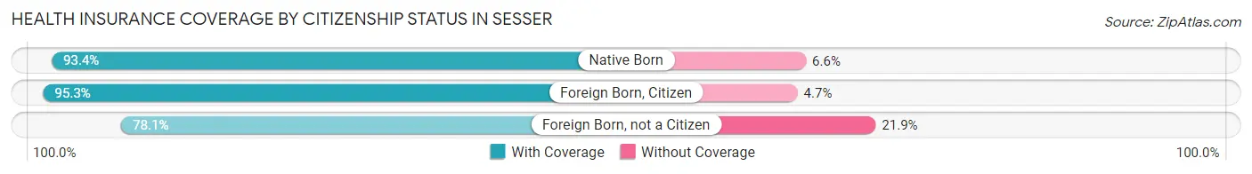 Health Insurance Coverage by Citizenship Status in Sesser