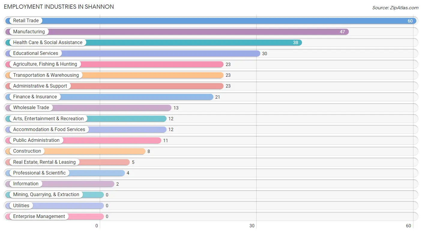 Employment Industries in Shannon