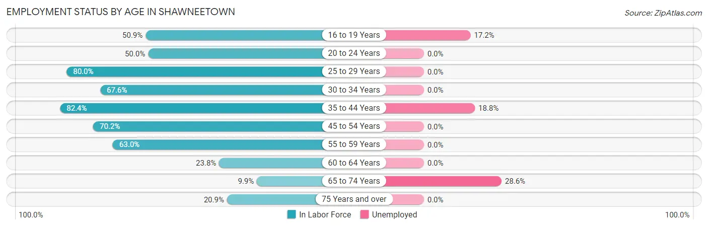 Employment Status by Age in Shawneetown