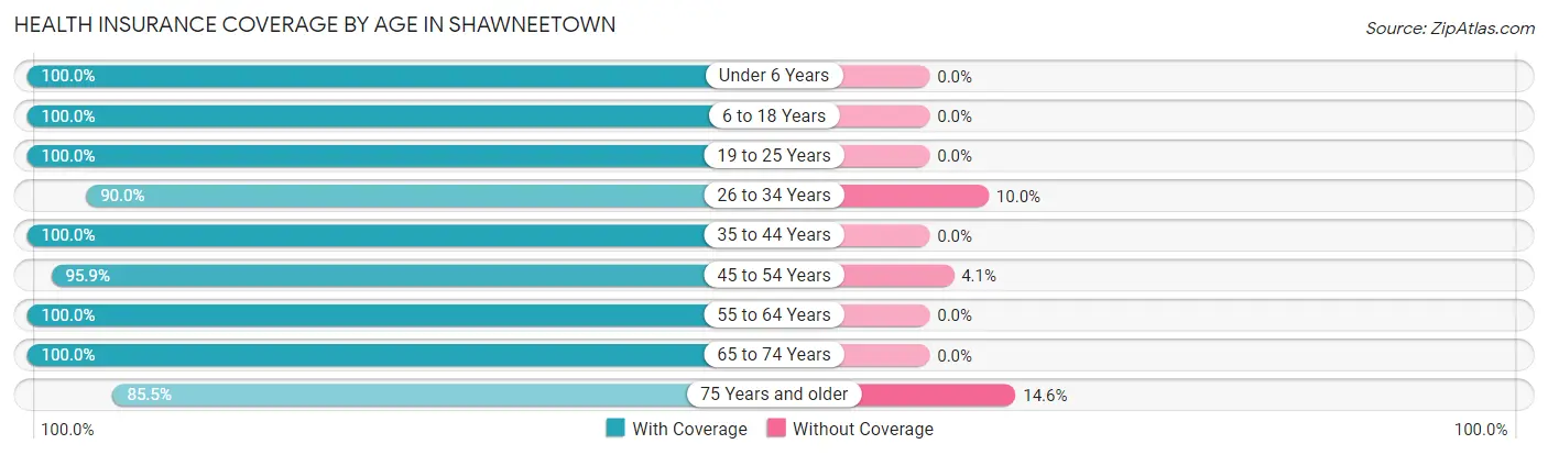 Health Insurance Coverage by Age in Shawneetown