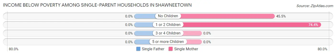 Income Below Poverty Among Single-Parent Households in Shawneetown