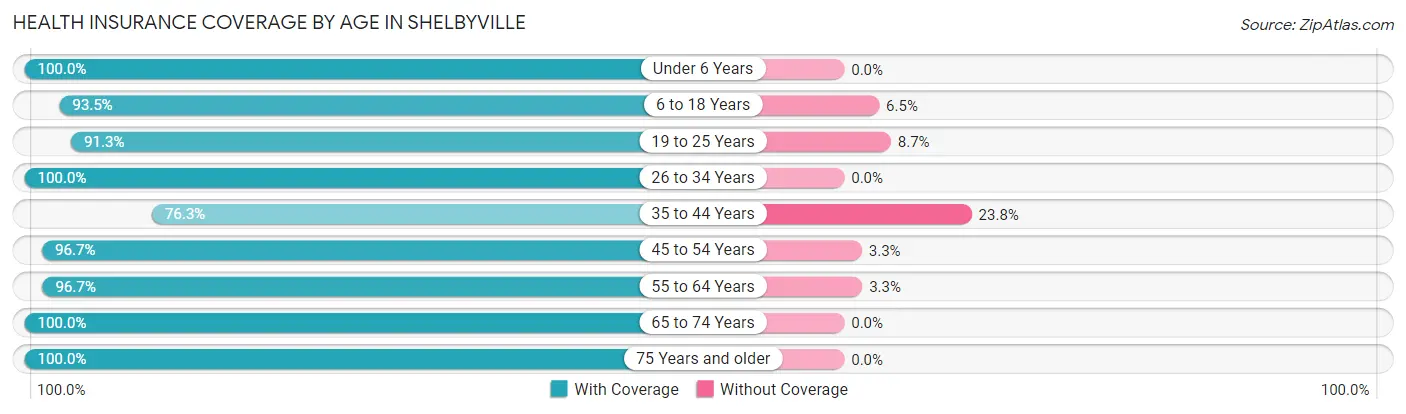 Health Insurance Coverage by Age in Shelbyville