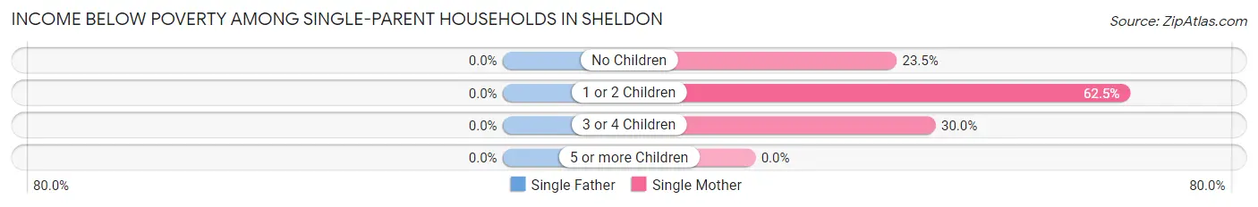 Income Below Poverty Among Single-Parent Households in Sheldon