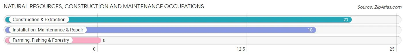 Natural Resources, Construction and Maintenance Occupations in Shipman