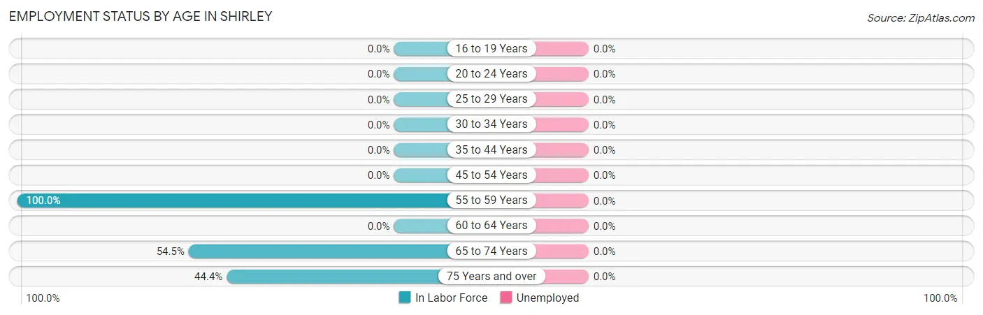 Employment Status by Age in Shirley
