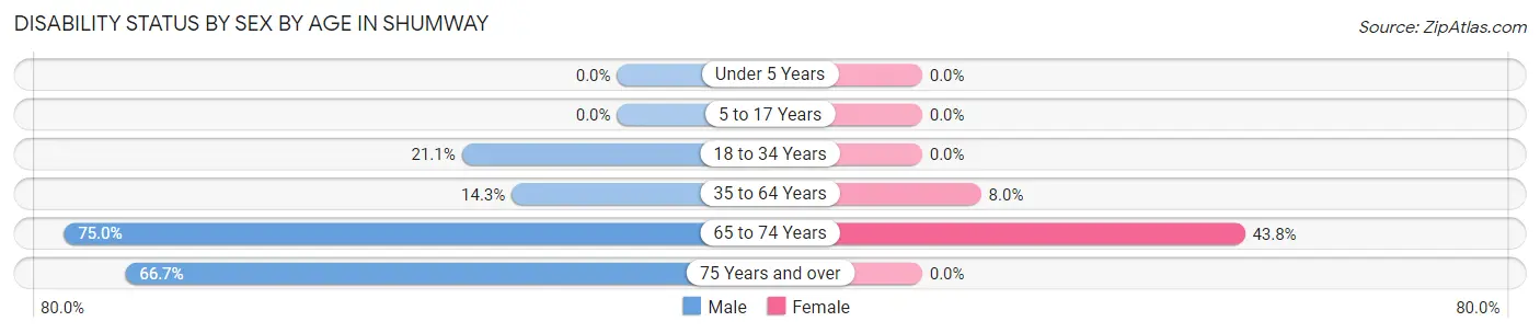 Disability Status by Sex by Age in Shumway