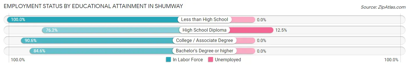 Employment Status by Educational Attainment in Shumway