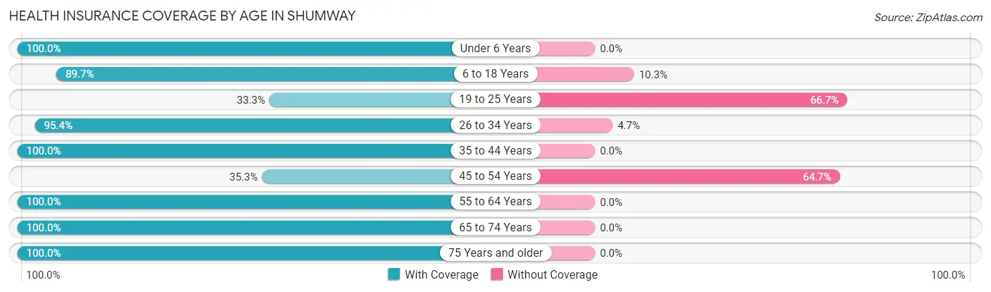 Health Insurance Coverage by Age in Shumway