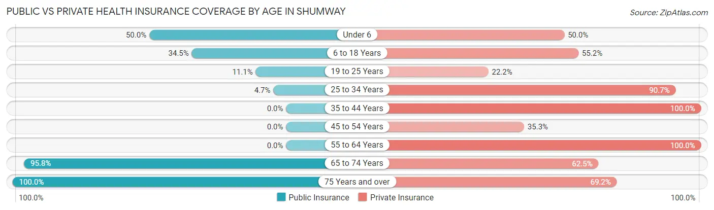 Public vs Private Health Insurance Coverage by Age in Shumway