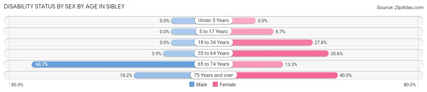 Disability Status by Sex by Age in Sibley