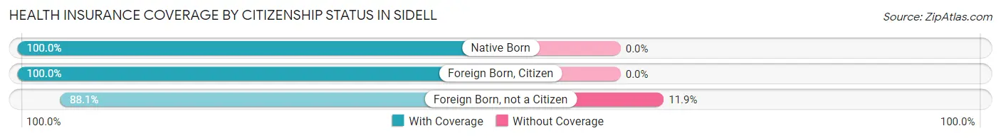 Health Insurance Coverage by Citizenship Status in Sidell