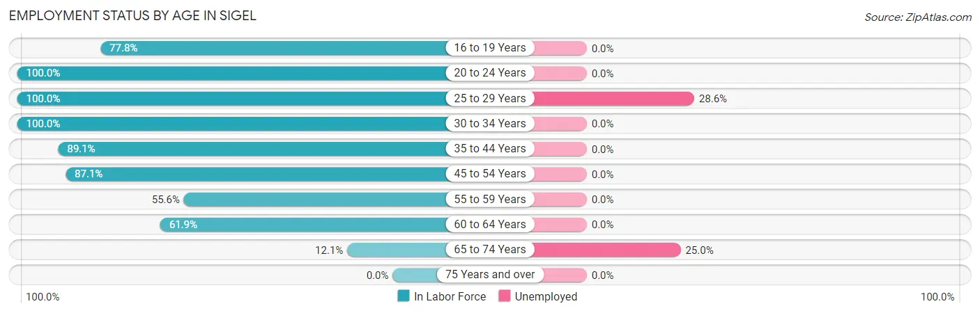 Employment Status by Age in Sigel