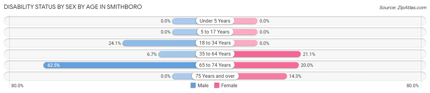 Disability Status by Sex by Age in Smithboro