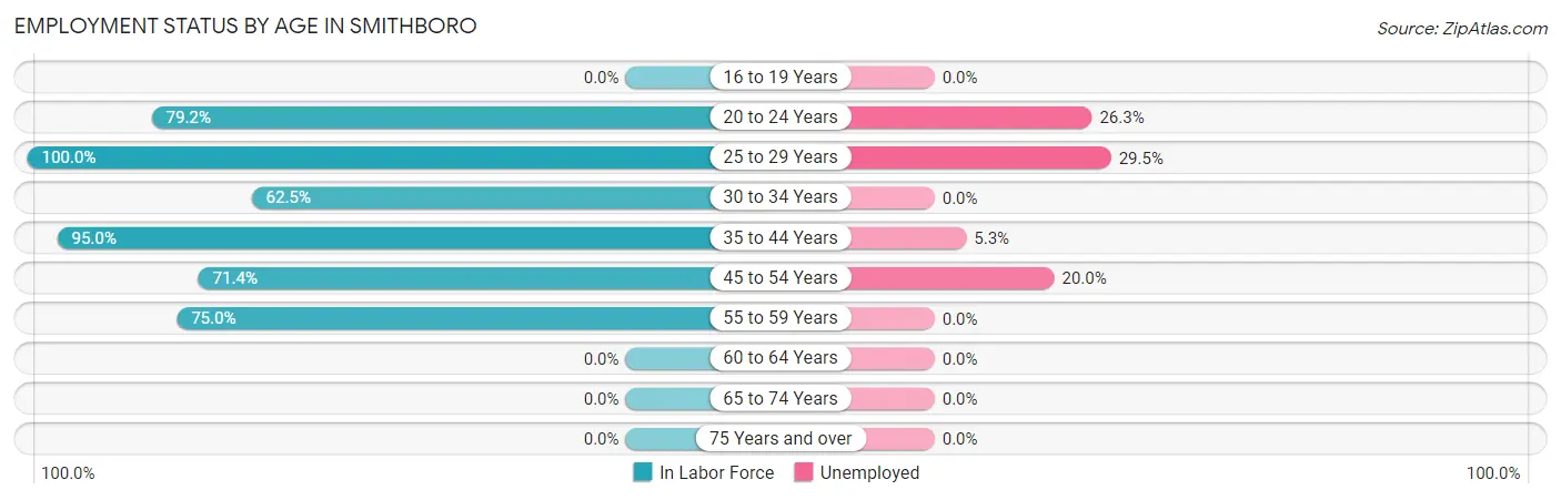 Employment Status by Age in Smithboro