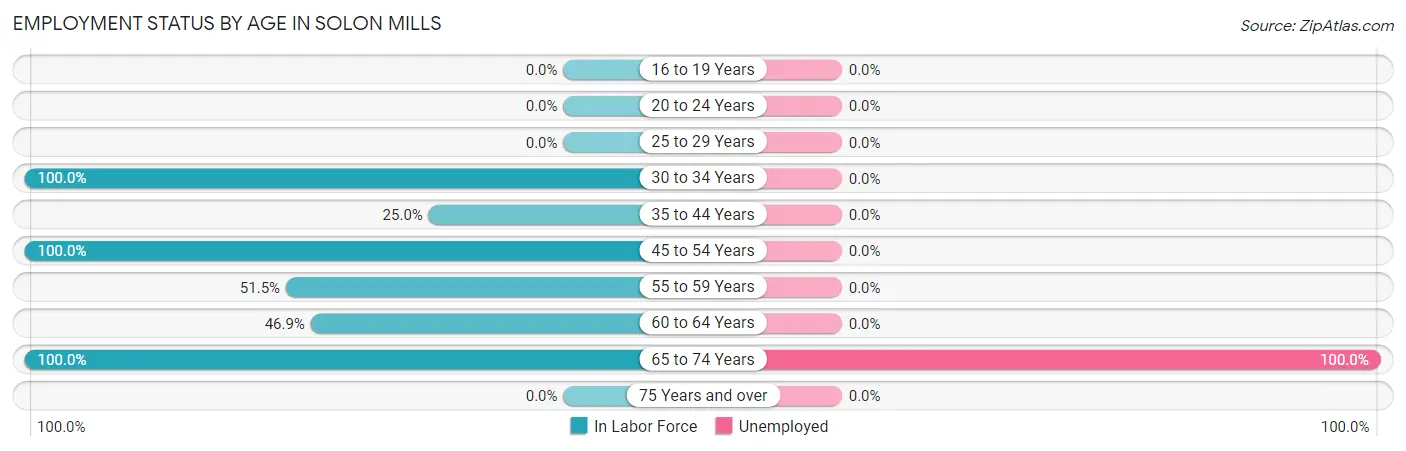 Employment Status by Age in Solon Mills