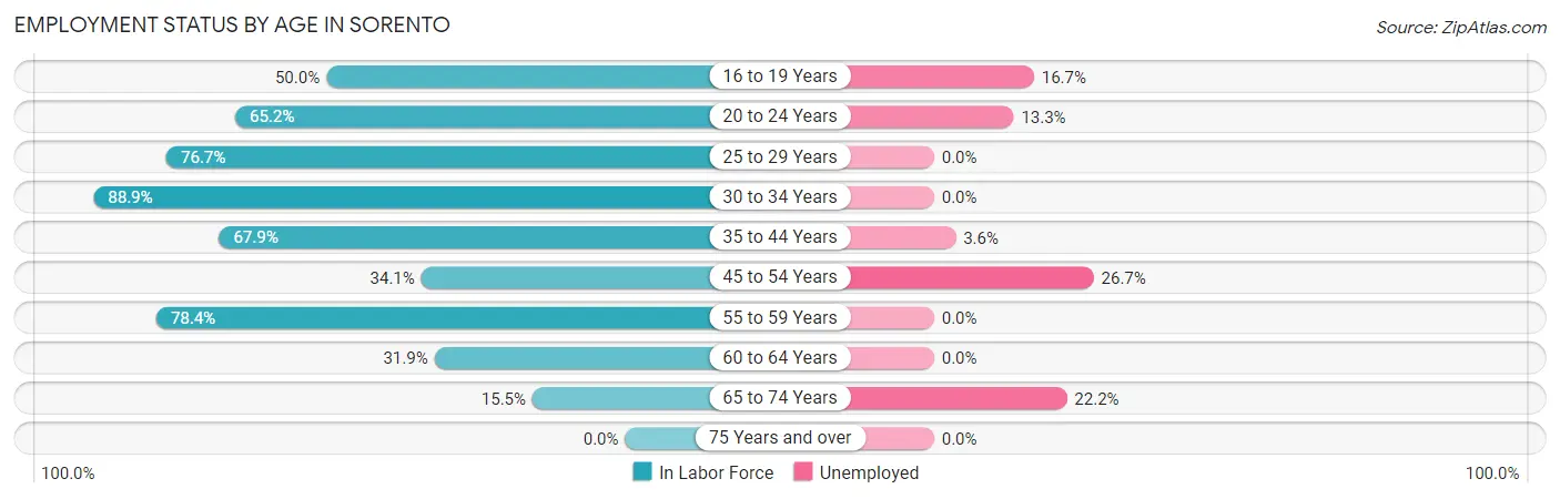 Employment Status by Age in Sorento