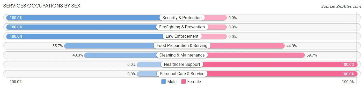Services Occupations by Sex in South Beloit