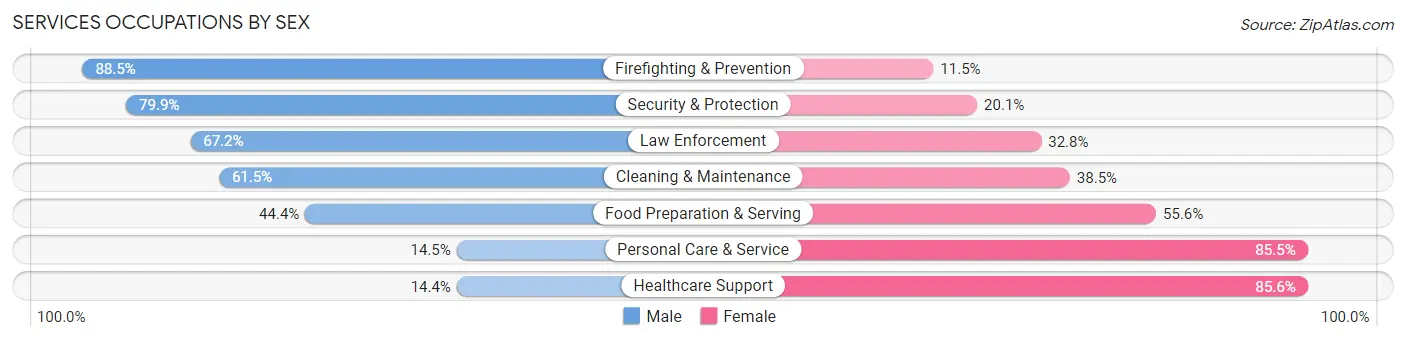 Services Occupations by Sex in South Elgin