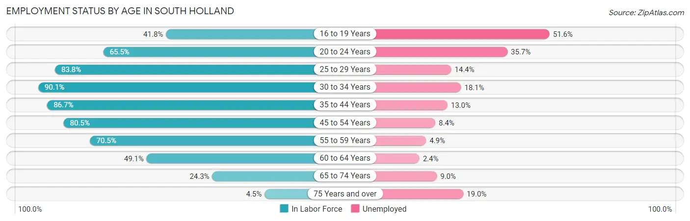 Employment Status by Age in South Holland