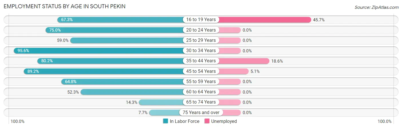 Employment Status by Age in South Pekin