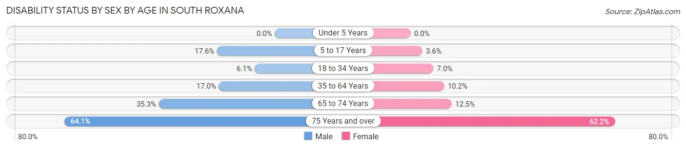 Disability Status by Sex by Age in South Roxana