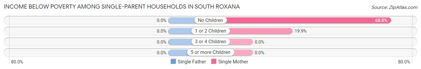 Income Below Poverty Among Single-Parent Households in South Roxana