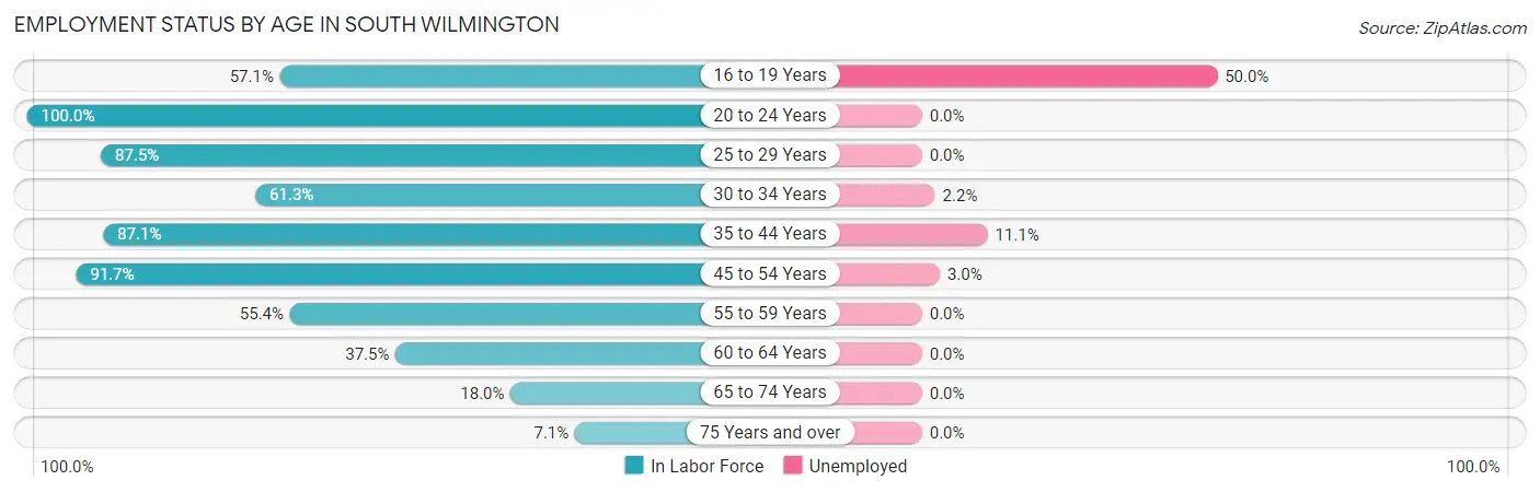 Employment Status by Age in South Wilmington