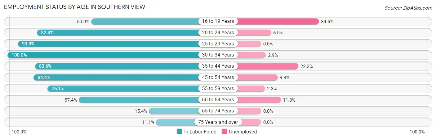 Employment Status by Age in Southern View