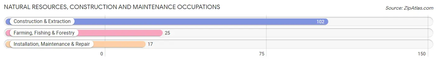 Natural Resources, Construction and Maintenance Occupations in Sparta