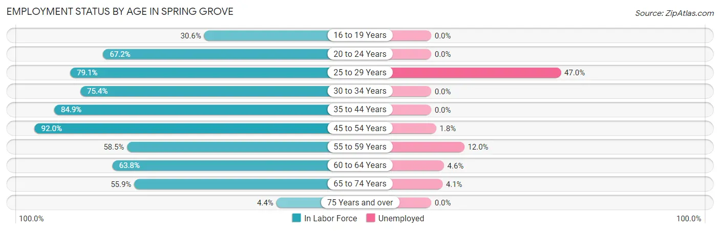 Employment Status by Age in Spring Grove