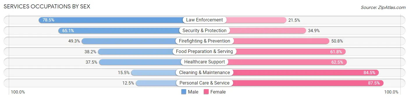 Services Occupations by Sex in Spring Valley