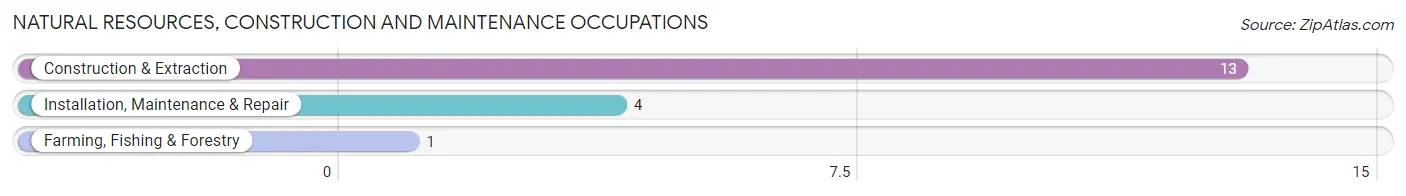 Natural Resources, Construction and Maintenance Occupations in Standard