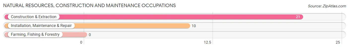 Natural Resources, Construction and Maintenance Occupations in Steeleville