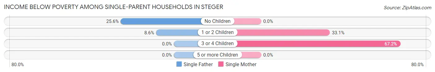 Income Below Poverty Among Single-Parent Households in Steger