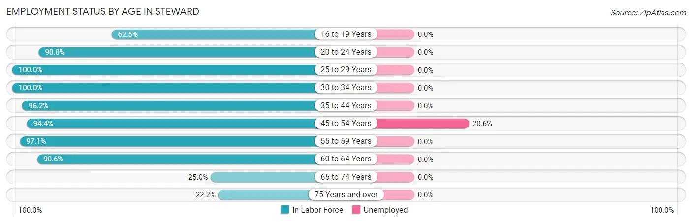 Employment Status by Age in Steward