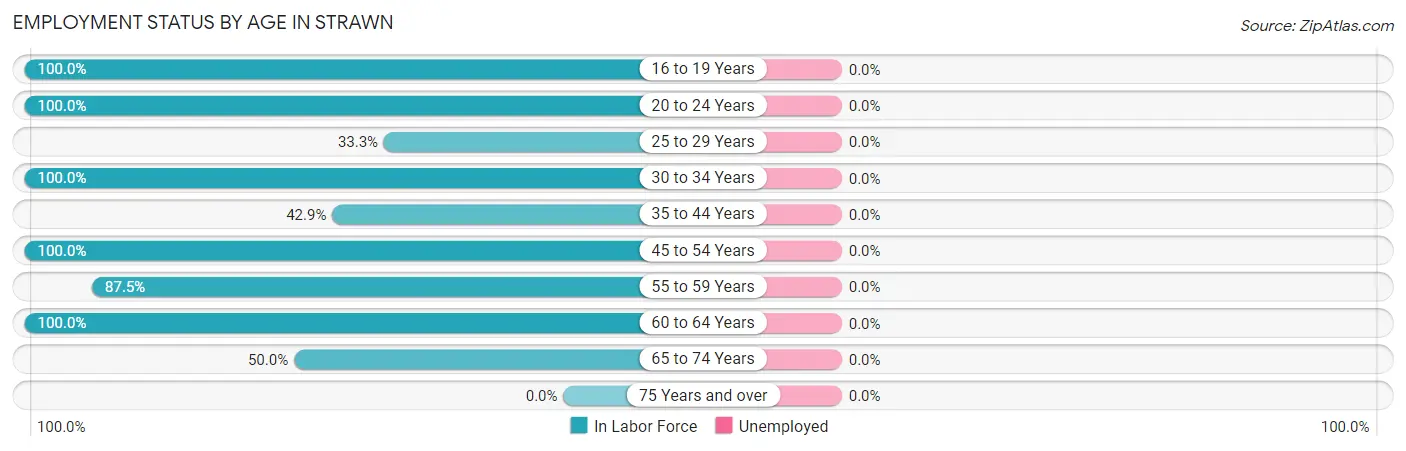 Employment Status by Age in Strawn