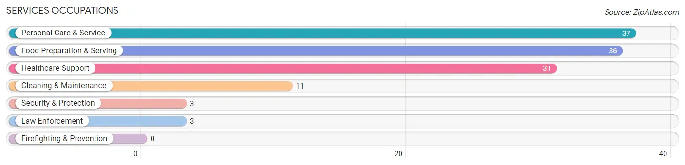 Services Occupations in Stronghurst