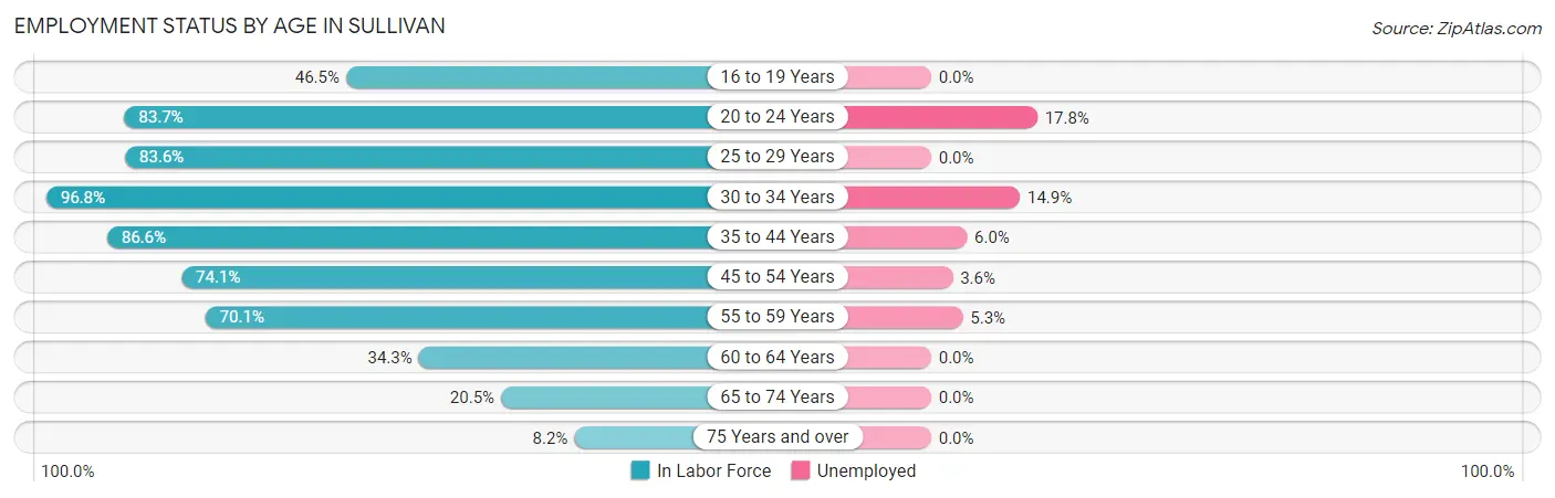 Employment Status by Age in Sullivan