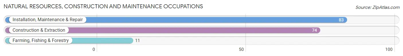 Natural Resources, Construction and Maintenance Occupations in Sullivan