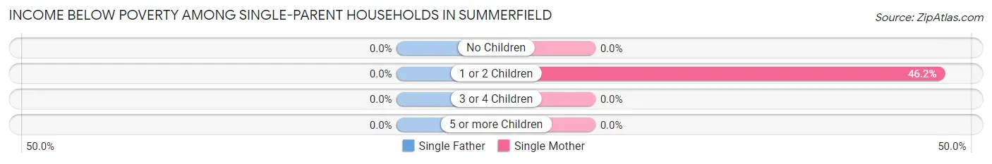 Income Below Poverty Among Single-Parent Households in Summerfield