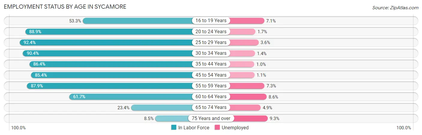 Employment Status by Age in Sycamore
